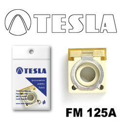 FM125A Tesla