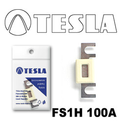 FS1H100A Tesla